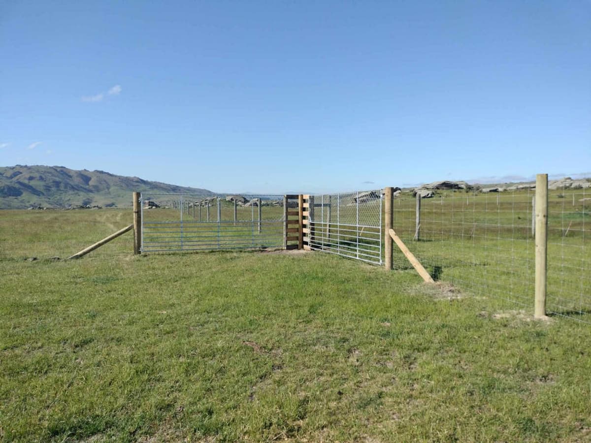 Netting boundary fence and a steel-panel stock yard on open rolling farmland under a clear sky