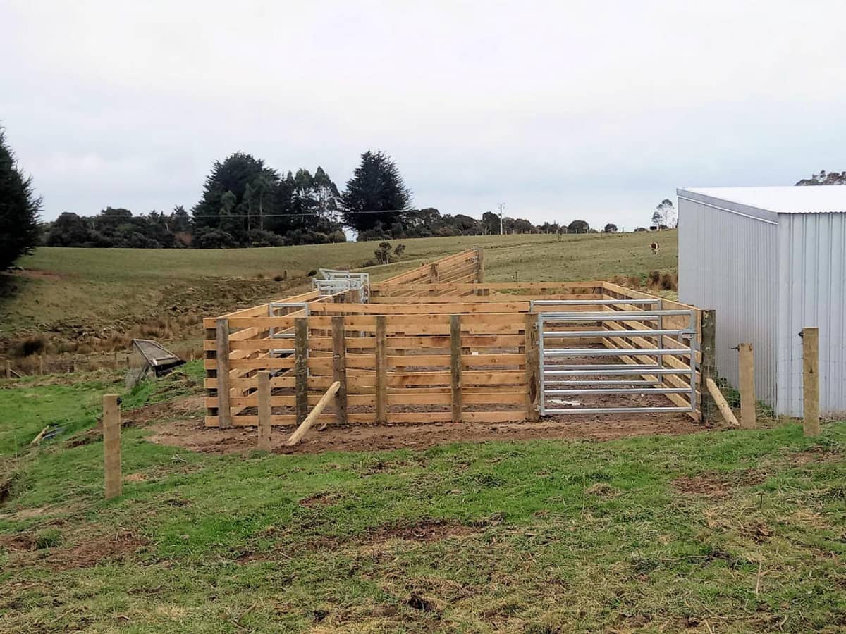 Timber cattle yards part-built beside an implement shed, with the race, a forcing pen and two steel gates hung and the rails still going on